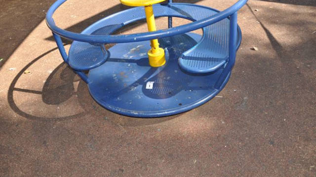 קרוסלה בגן משחקים ברחובות (צילום: דוברות המשטרה)