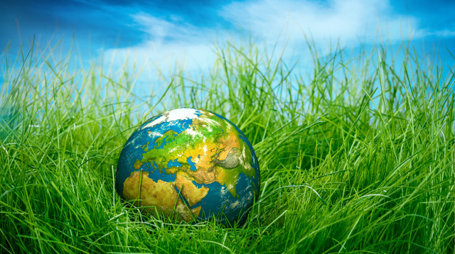 חדשות ירוקות (צילום: אינג אימג')