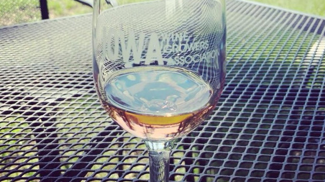 יין פסטיבל איווה מדף הפייסבוק של הפסטיבל (צילום: צילום מסך אתר הפסטיבל,צילום מסך אתר הפסטיבל)