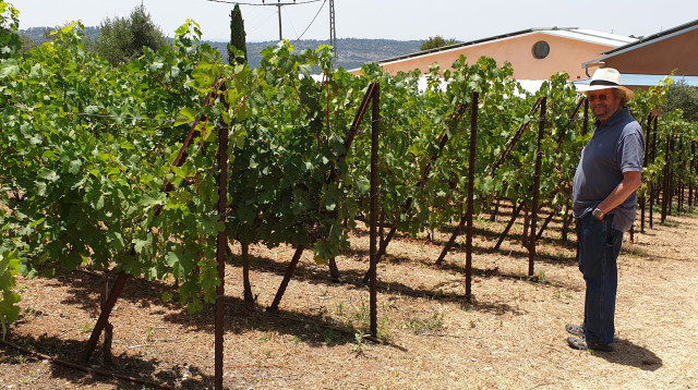 אלי בן זקן יקב קסטל (צילום: מירה איתן)