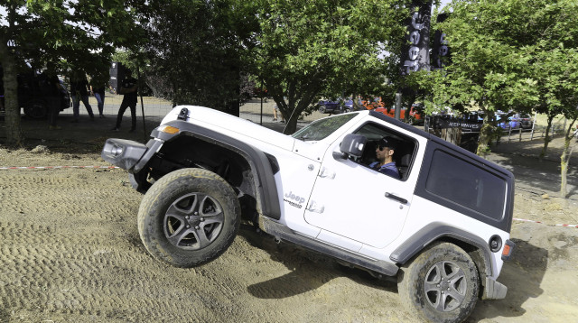 ג'יפ (צילום: תומר פדר)