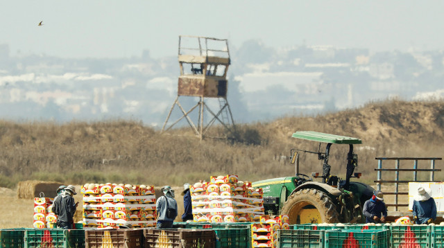 חקלאים בעוטף עזה (צילום: רויטרס)