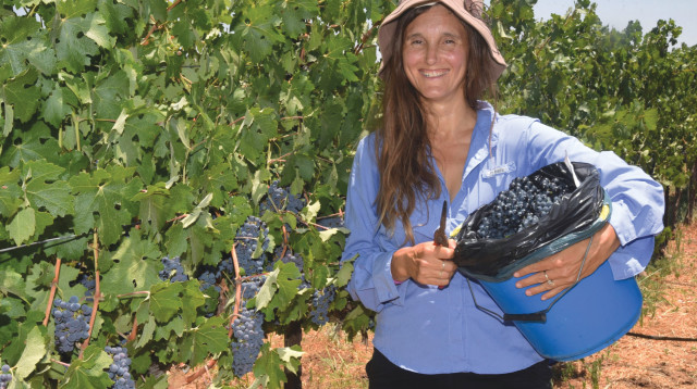 מעיין חי (צילום: באדיבות יקב רקנאטי)