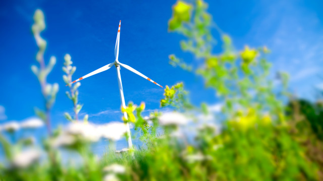 חדשות ירוקות (צילום: אינג אימג')