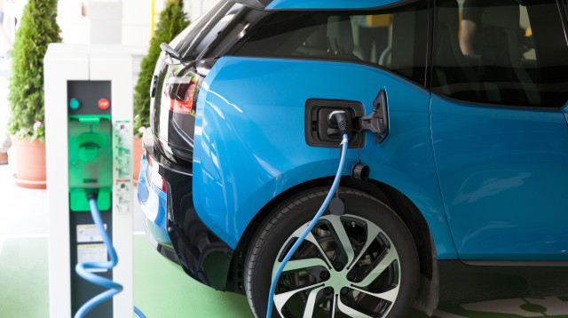 חדשות ירוקות (צילום: אינג אימג')