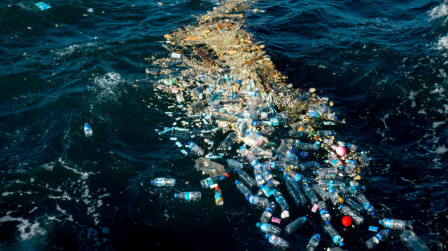 חדשות ירוקות  (צילום: אינג אימג')