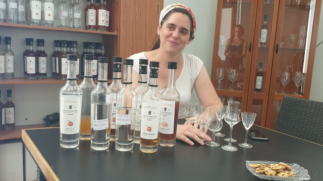 מזקקת הולנדר (צילום: מירה איתן)