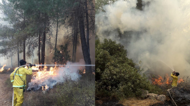 שריפות ברחבי הארץ (צילום: כב"ה ירושלים)