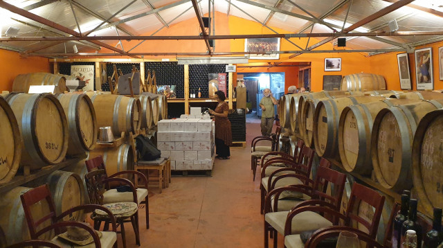 יקב סוסון ים (צילום: מירה איתן)