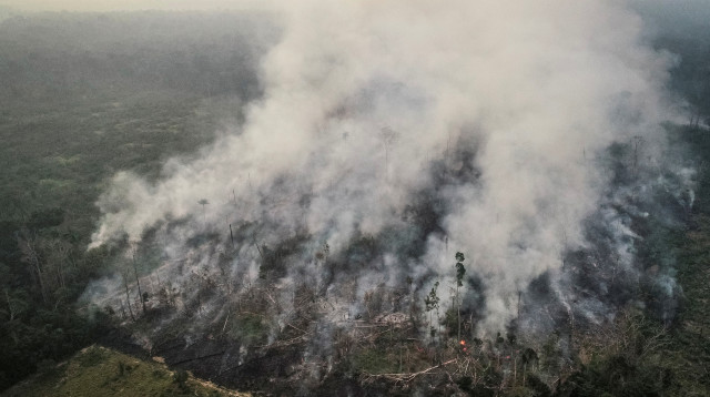 השריפה ביערות הגשם באמזונס (צילום: רויטרס)