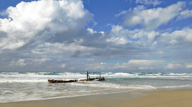 חוף דור-הבונים (צילום: רן פרץ)