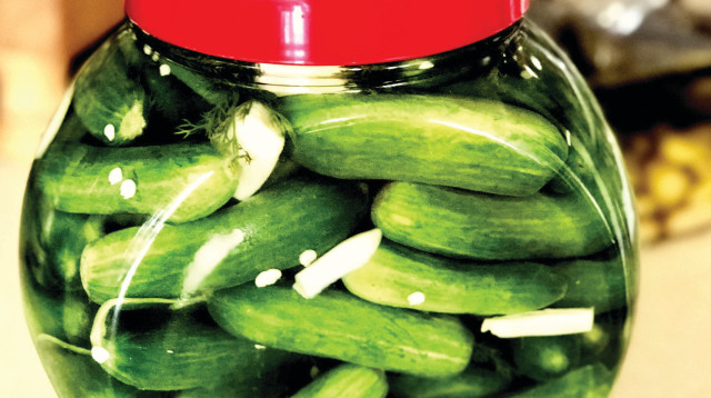 מלפפונים כבושים (צילום: פסקל פרץ-רובין)