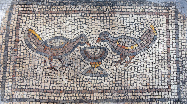 צמד ציפורים שותות מגביע יין (צילום: ד"ר מיכאל איזנברג)