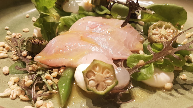 קייטרינג האוכל פייב אס  (צילום: הדר אוקנין)