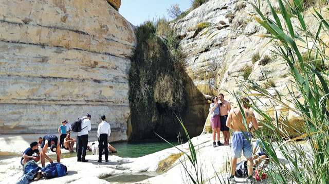 עין עקב (צילום: מאיר אורבך, רשות הטבע והגנים)