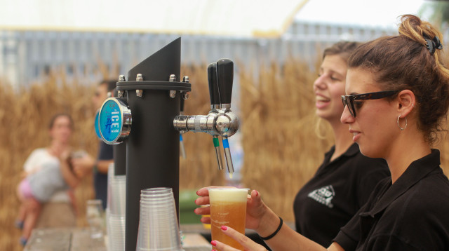 בירה שבט (צילום: יח"צ)