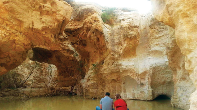 עין ירקעם (צילום: יונתן נריסנה)