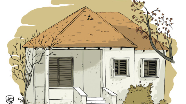 איור (צילום: ליאב צברי)