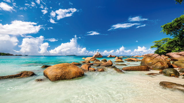 איי סיישל (צילום: אינגאימג')