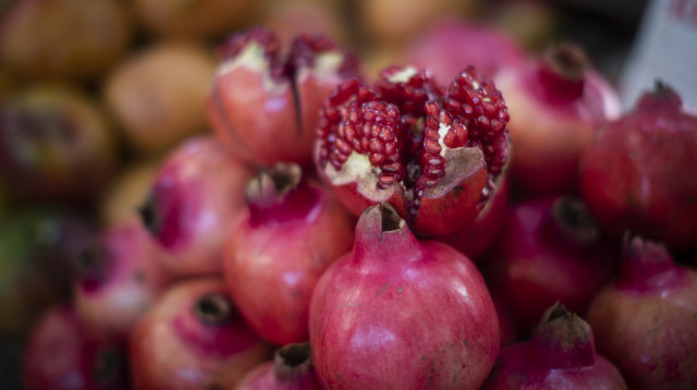 רימונים  (צילום: הדס פרוש, פלאש 90)