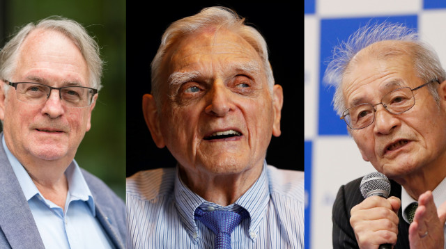 זוכי פרס הנובל בכימיה (צילום: רויטרס)