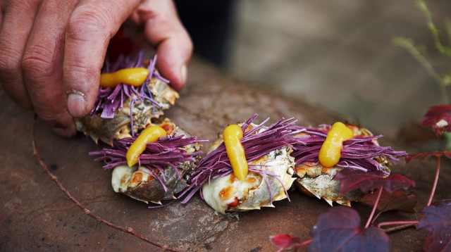 פסטיבל הסרטים חיפה- השף הנודד (צילום: יחצ חול)