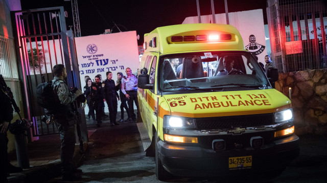 אמבולנס טיפול נמרץ (צילום: הדס פרוש , פלאש 90)