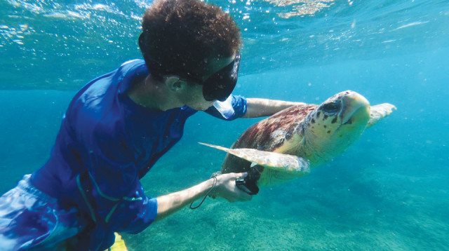 שמורות ימיות (צילום: אברהם דיין)