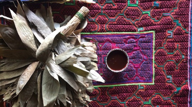 איוואסקה (צילום: יח"צ)