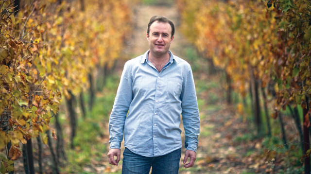 יעקב ברג (צילום: יונתן זינדל, פלאש 90)