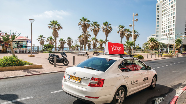 מוניות yango (צילום: מריה טרויאנקר)