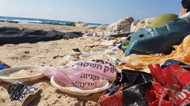 כלים חד פעמיים בחוף הים (צילום: פרד ארזואן, המשרד להגנת הסביבה)