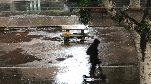 גשם בתל אביב (צילום: אבשלום ששוני)