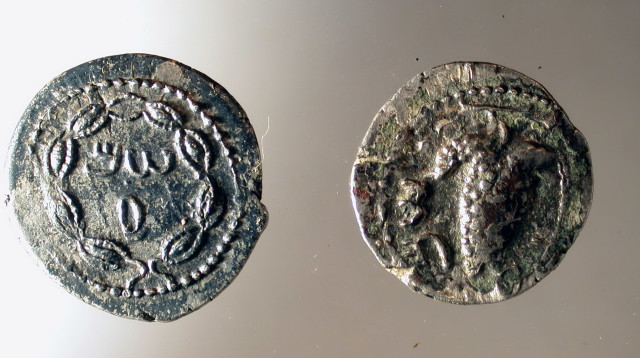 מטבעות עתיקים שימשו השראה ללוגו האזורי (צילום: בועז זיסו)