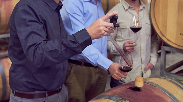 צוות הייננים של יקב טפרברג (צילום: שני בריל)