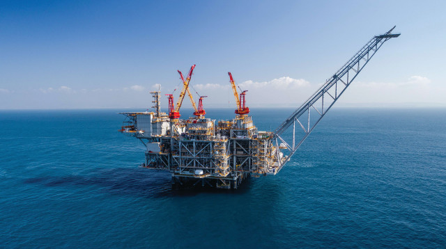 אסדת לווייתן (צילום: אלבטרוס)