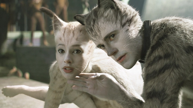 "קאטס" (צילום: באדיבות חברת טוליפ אינטרטיינמנט)