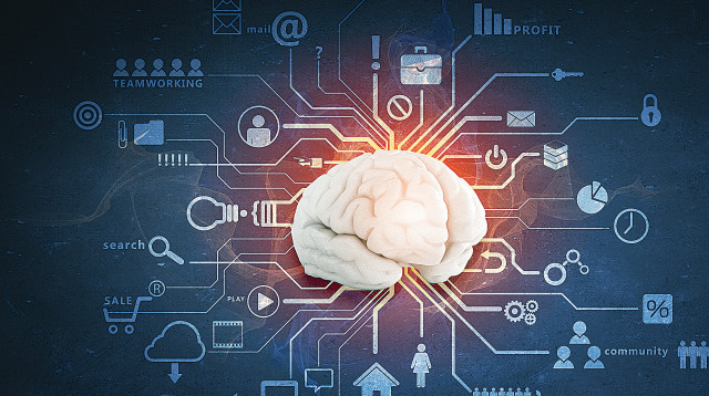 מערכת המוח (צילום: אינגאימג')