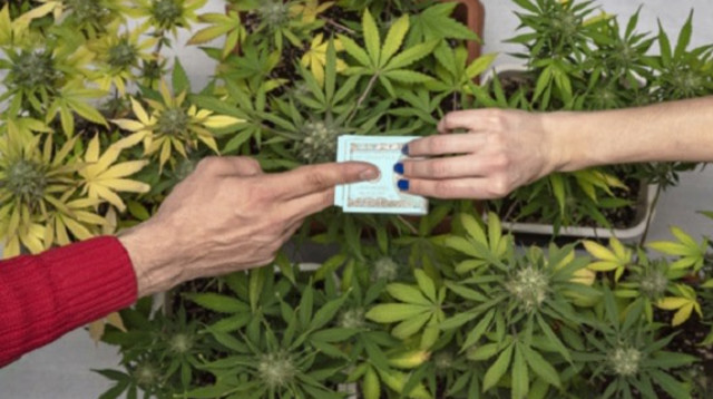 סחר בסמים (צילום: שאטרסטוק)