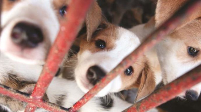 אילוסטרציה  (צילום: מאיה לוין, פלאש 90)