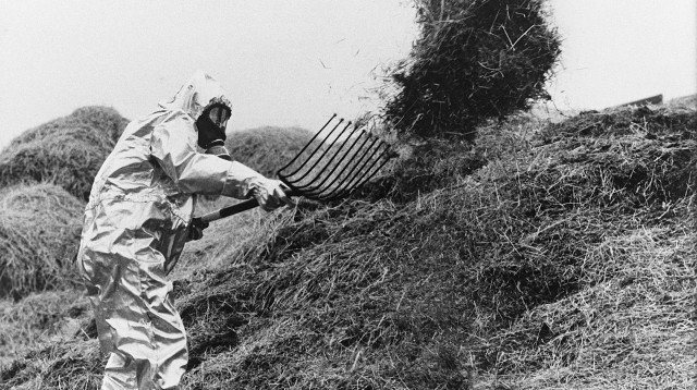 אזור אסון צ'רנוביל (צילום: Getty images)