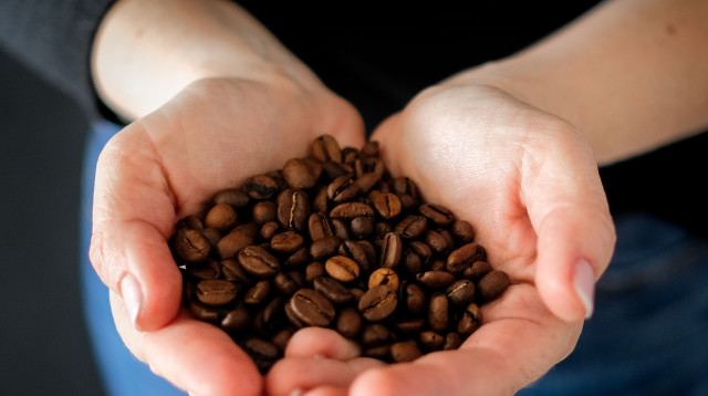 פולי קפה (צילום: יח"צ חו"ל)