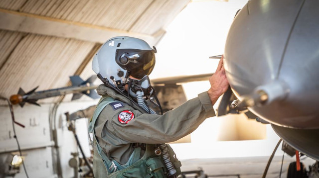 אילוסטרציה - טייס חיל האוויר (צילום: דובר צה"ל)