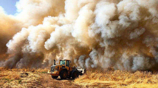 אירוע פשיעה חקלאית (צילום: השומר החדש)