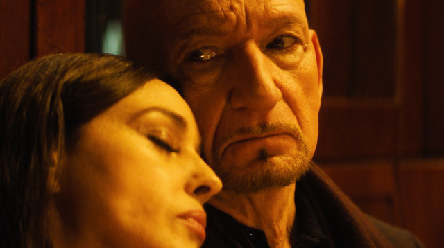 עכביש ברשת (צילום: ריצ'רד ואן אוסטרהוט)