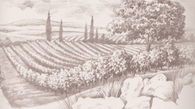 יקב סגל (צילום: יח"צ)