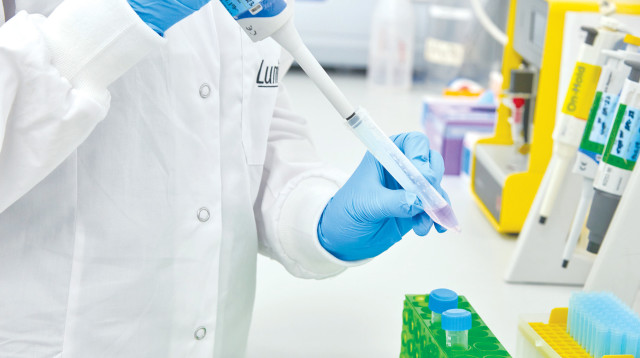 מחלקת הפיתוח של לומינרה (צילום: יח"צ)