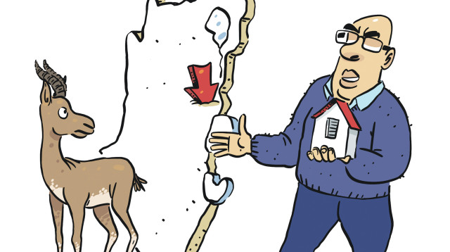 קופמן מתבלבל מעסקת המאה (צילום: ליאב צברי)