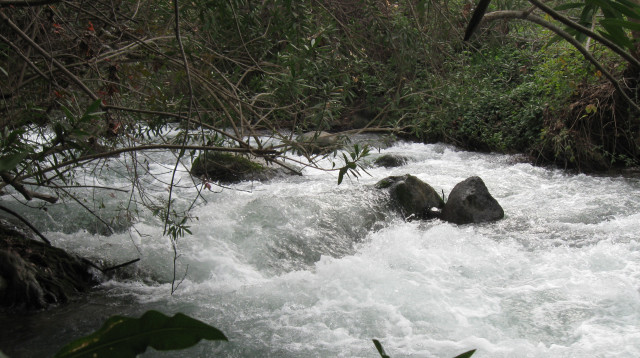 הבניאס (צילום: אריאלה אפללו	)