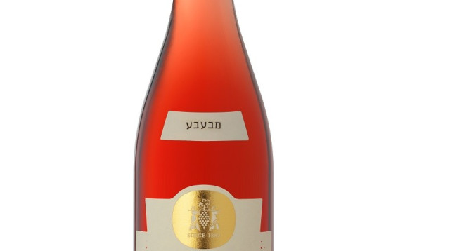 באזז רימון (צילום: אייל קרן)